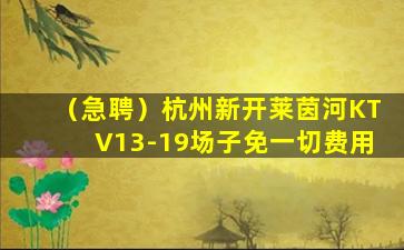 四川酒吧招聘
